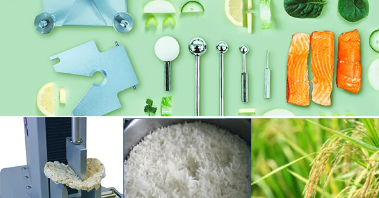 rice texture webinar