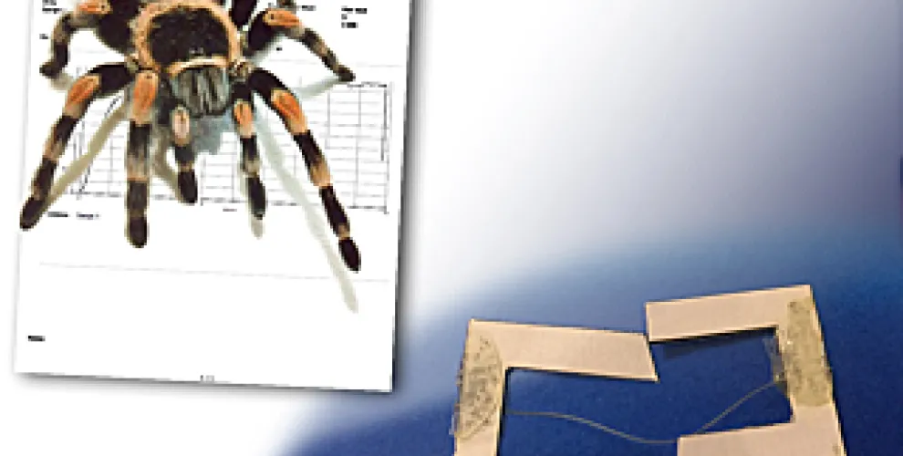 Durometer Spiders Mecmesin | Spider Silk Tensile Strength and Toughness